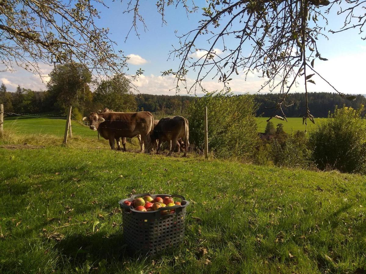 Ferienwohnung Trifts | Einzelbetten | Parkplatz Wangen im Allgäu Kültér fotó